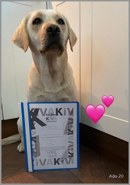 Elsa Kiva koirakansalainen