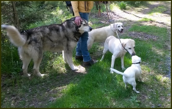 Teijon kansallispuistossa