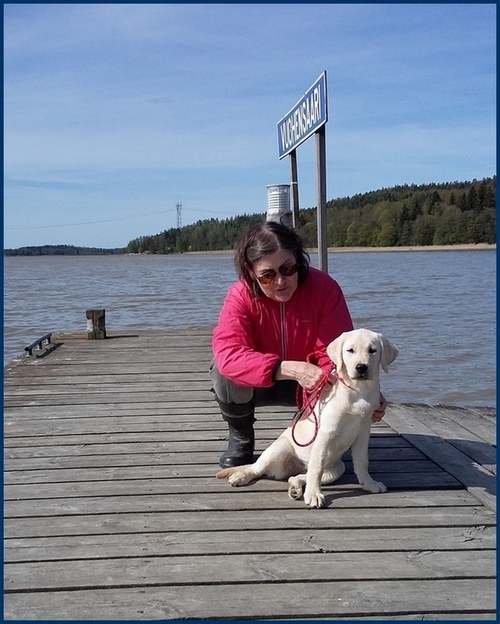 Vilja Vuohensaaressa